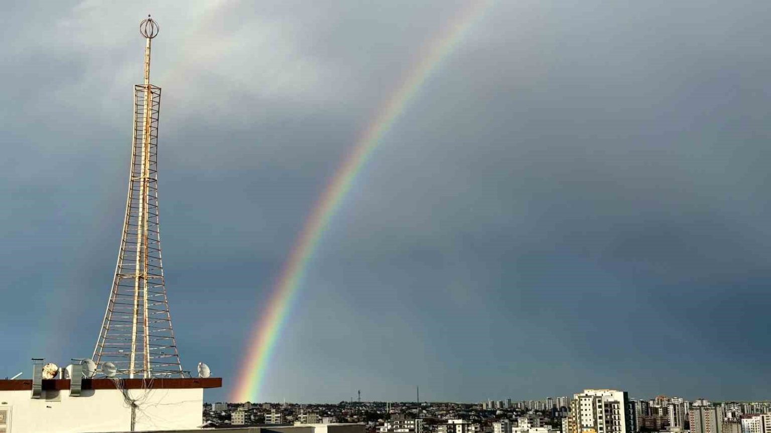 adanada-yagmur-sonrasi-gokkusagi-olustu