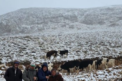 aniden-kar-bastirinca-yaylada-mahsur-kalan-kadin-kurtarildi