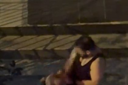 bahcelievlerde-pitbull-cinsi-kopek-sahibine-saldirdi-dehset-anlari-kamerada