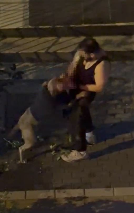 bahcelievlerde-pitbull-cinsi-kopek-sahibine-saldirdi-dehset-anlari-kamerada