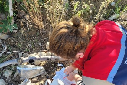 buharkentte-meyve-sinegiyle-mucadele-araliksiz-suruyor