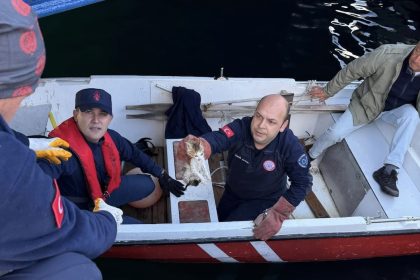 erdekte-denize-dusen-yavru-kedi-kurtarildi