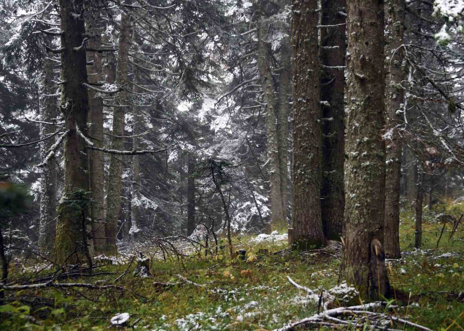 ilgaz-daginda-kar-yagisi-etkili-oldu-ortaya-mest-eden-goruntuler-cikti