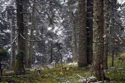 ilgaz-daginda-kar-yagisi-etkili-oldu-ortaya-mest-eden-goruntuler-cikti