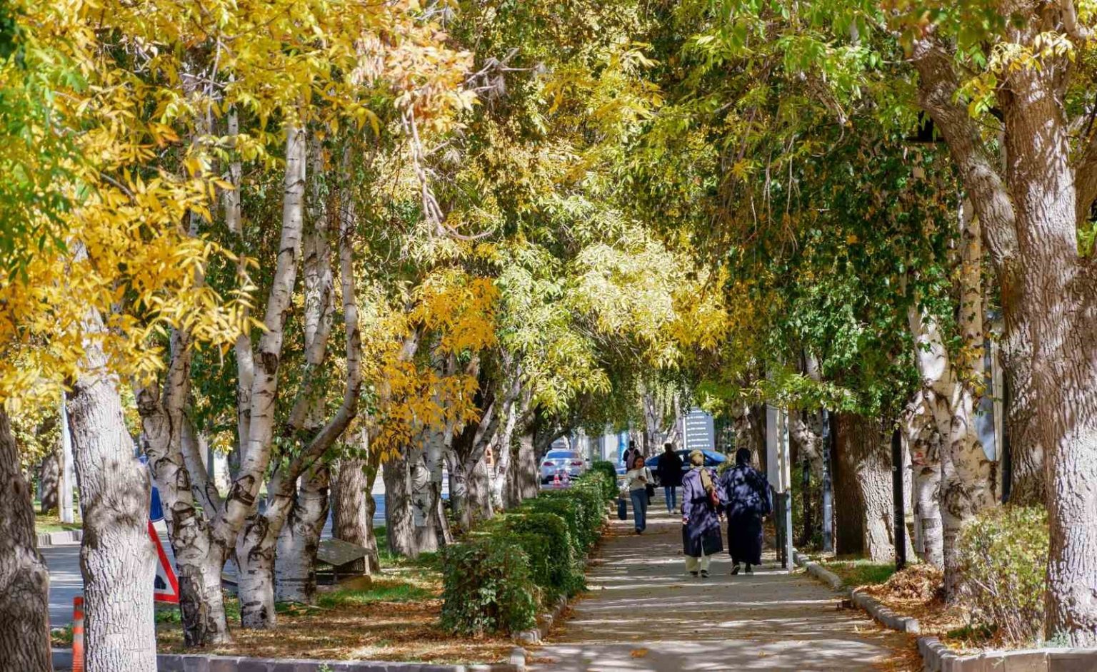 meteorolojiden-kuvvetli-ruzgar-ve-kar-uyarisi
