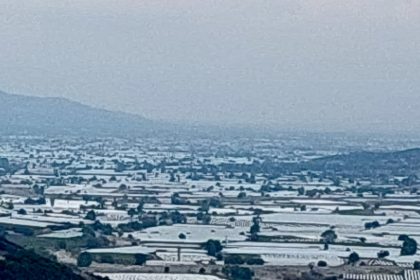 sarigolde-uzum-uretici-ihracatin-hiz-kazanmasini-bekliyor