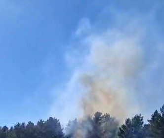 sarikamis-ormanlarinda-ortu-yangini