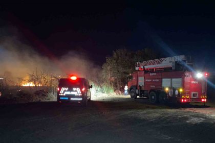 serikte-yol-kenarindaki-otluk-alanda-cikan-yangin-korkuttu