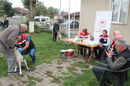 son-tarih-31-aralik-2025