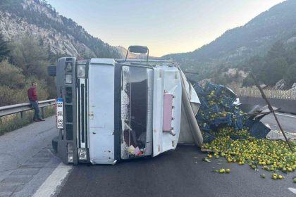 tarsusta-narenciye-yuklu-kamyon-devrildi