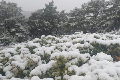tokat-yukseklerinde-kar-kent-merkezinde-yagmur-etkili-oldu