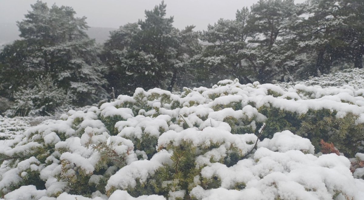 tokat-yukseklerinde-kar-kent-merkezinde-yagmur-etkili-oldu