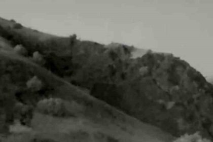 tuncelide-yaban-hayati-kameraya-yansidi