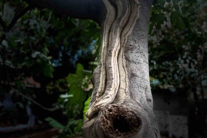 unutulan-sanati-emekliler-hayata-donduruyor