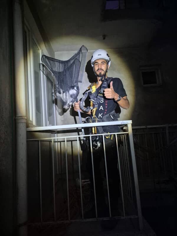 apartman-boslugunda-mahsur-kalan-yavru-kedi-kurtarildi