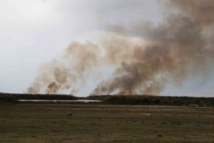 buyuk-iron-sazliginda-yangin