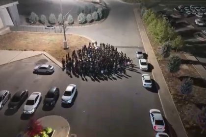 diyarbakir-merkezli-12-ilde-silah-kacakciligi-operasyonu-78-kisi-gozaltina-alindi