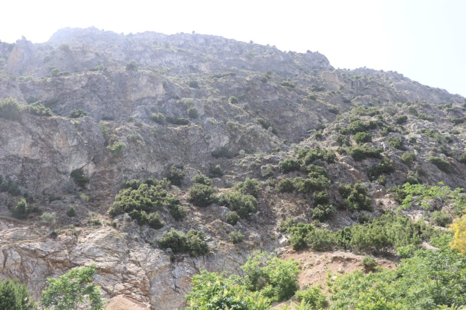 doga-gezisine-cikti-en-tepeye-ciktim-mukemmel-bir-manzara-var-dedikten-sonra-haber-alinamadi