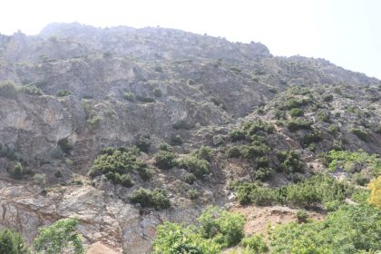 doga-gezisine-cikti-en-tepeye-ciktim-mukemmel-bir-manzara-var-dedikten-sonra-haber-alinamadi