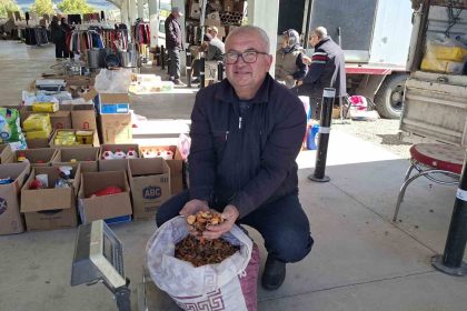 elma-kurusu-ureticisini-sevindirdi