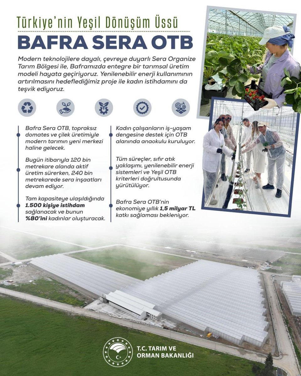 kadin-eliyle-yeseren-tarim-bafra-sera-otb-yillik-15-milyar-liralik-katki-sunacak