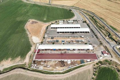 kahramanmaras-canli-hayvan-pazari-acildi