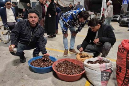 kuzu-kestane-siki-pazarliklarla-alici-buluyor