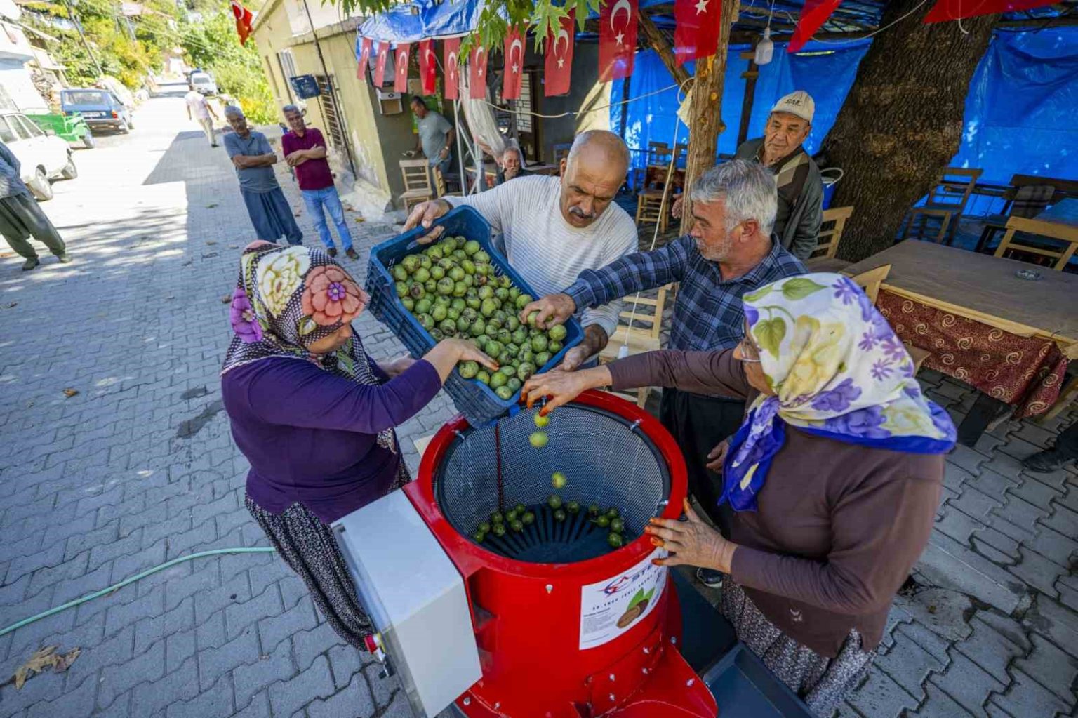 mersinde-ureticiye-ceviz-soyma-makinesi-destegi