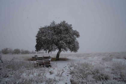 nigdenin-yuksek-kesimlerine-mevsimin-ilk-kari-yagdi