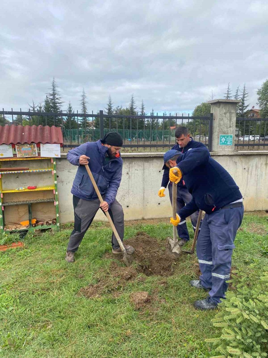 orman-yanginlari-sonrasi-yola-cikti-71-fidanini-boluda-dikti