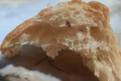 pamukkale-halk-ekmekin-icerisinden-cikan-fare-diskisi-ve-un-kurdu-yeni-dogum-yapan-anneyi-sutten-kesti