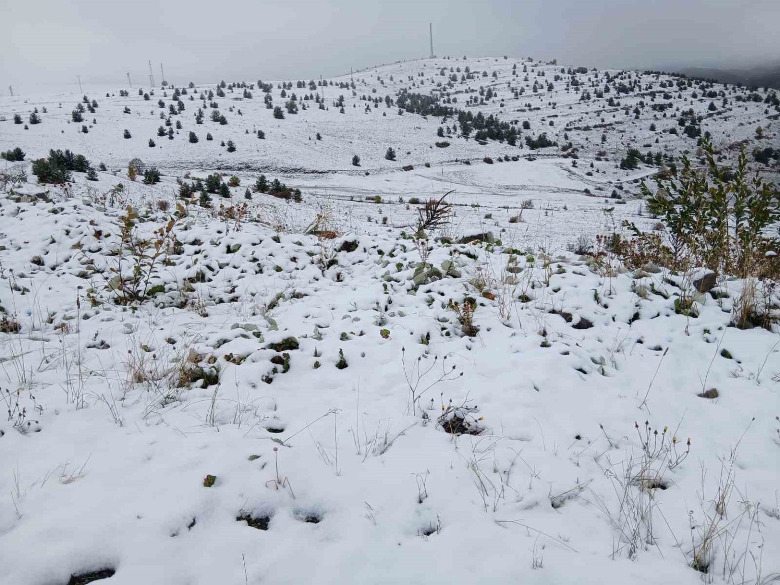 posofta-kar-yagisi-etkili-oldu