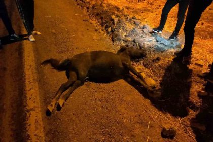 siirtte-otomobil-ile-at-carpisti-1-yarali