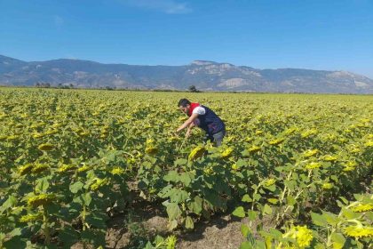 sokede-2025-yili-destekleme-urun-calismalari-yapildi