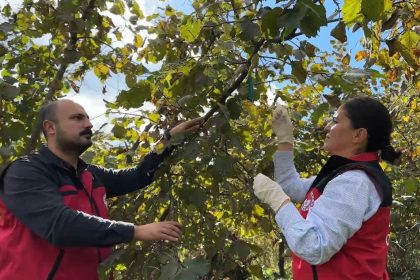 bakan-yumakli-zararliya-karsi-1-milyon-156-bin-dogal-dusman-samuray-arisi-salimi-yaptik