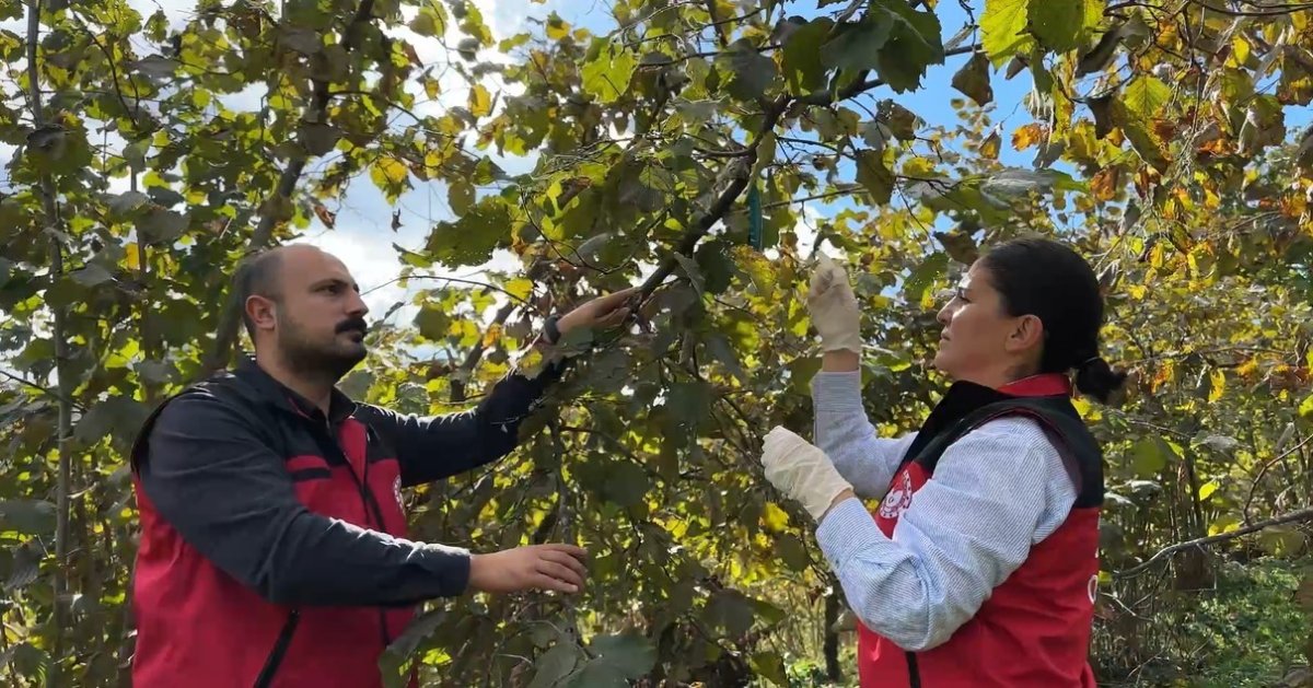 bakan-yumakli-zararliya-karsi-1-milyon-156-bin-dogal-dusman-samuray-arisi-salimi-yaptik