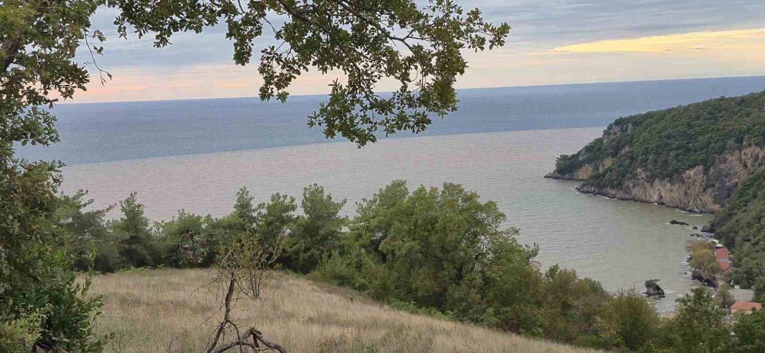 denizin-rengi-degisti-plaja-tibbi-atiklar-vurdu