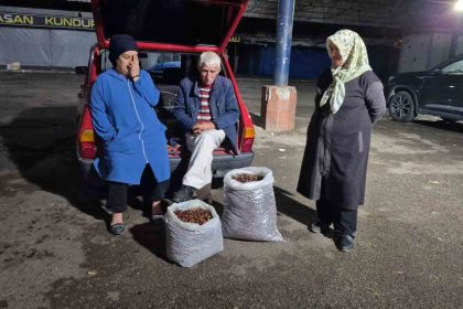 kestane-rekoltesi-kuraklik-sebebiyle-dustu