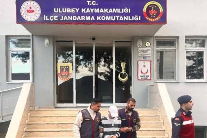 orduda-evden-findik-calan-supheli-tutuklandi