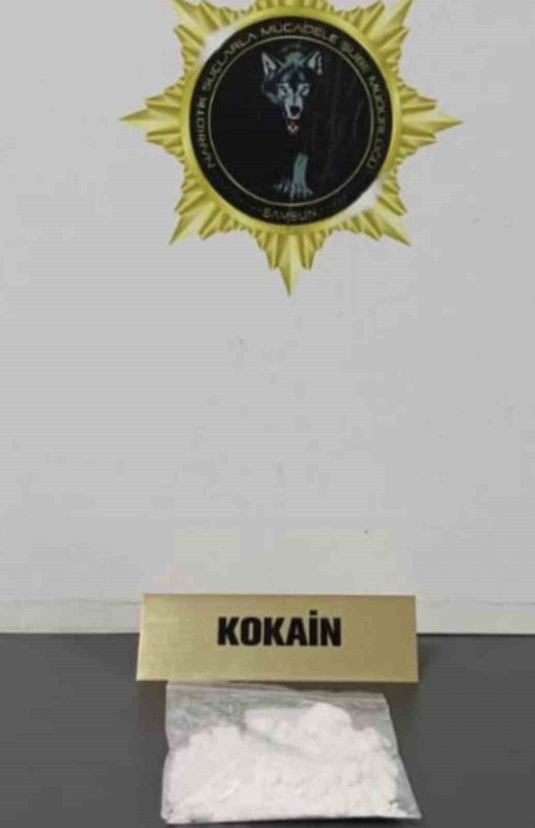samsun-polisinden-4-ilcede-es-zamanli-uyusturucu-operasyonu