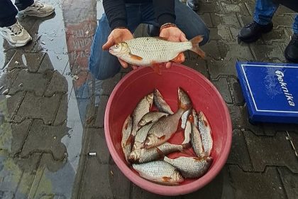 sapanca-golunde-kizilkanat-heyecani-amator-balikcilar-kiyasiya-yaristi