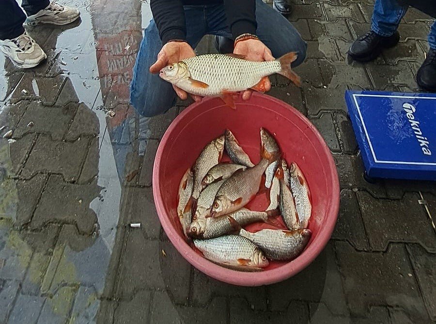 sapanca-golunde-kizilkanat-heyecani-amator-balikcilar-kiyasiya-yaristi