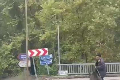 yasli-adam-uzerine-kosan-domuzdan-son-anda-kurtuldu