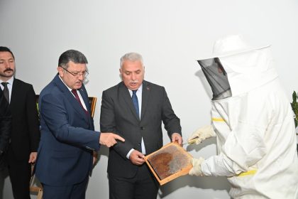 agasar-bali-markalasacak