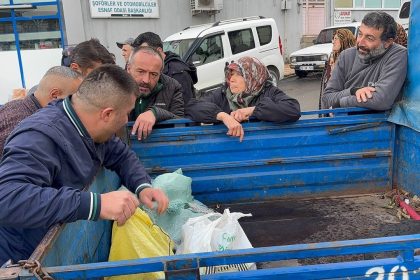 alaplida-kuraklik-ve-gal-arisi-istilasi-unlu-kuzu-kestanesini-de-vurdu