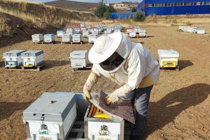 ariciliga-yeni-basladi-dogada-insan-ayagi-degmeyen-yerde-bal-uretiyor