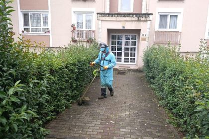 basiskelede-yesil-alanlara-bakim