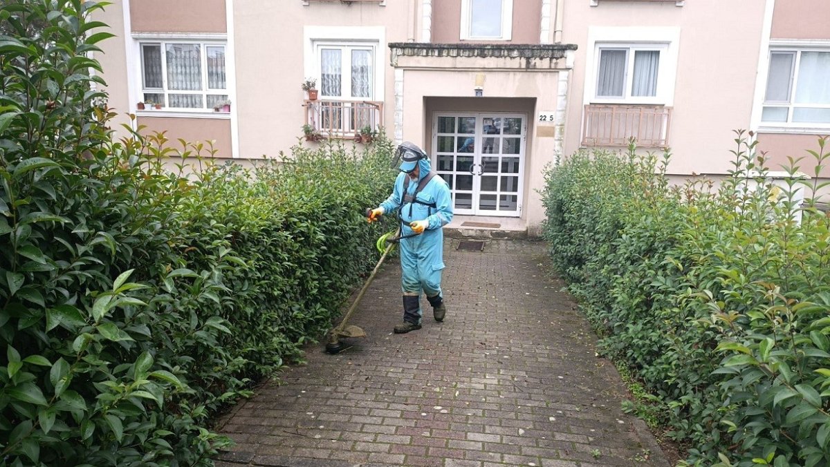 basiskelede-yesil-alanlara-bakim