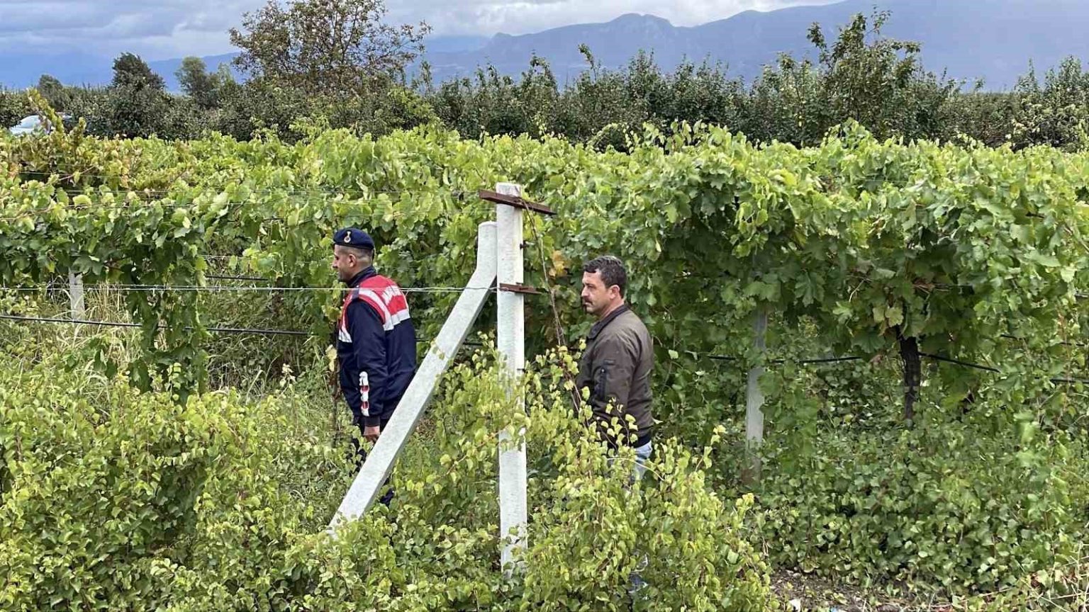 bir-yillik-emekleri-calinmasin-diye-gece-gunduz-nobet-tutuyorlar