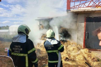 bucakta-ot-balyalari-yandi